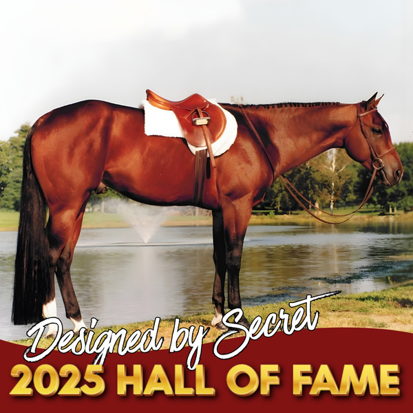 2025 Hall of Fame: Designed By Secret