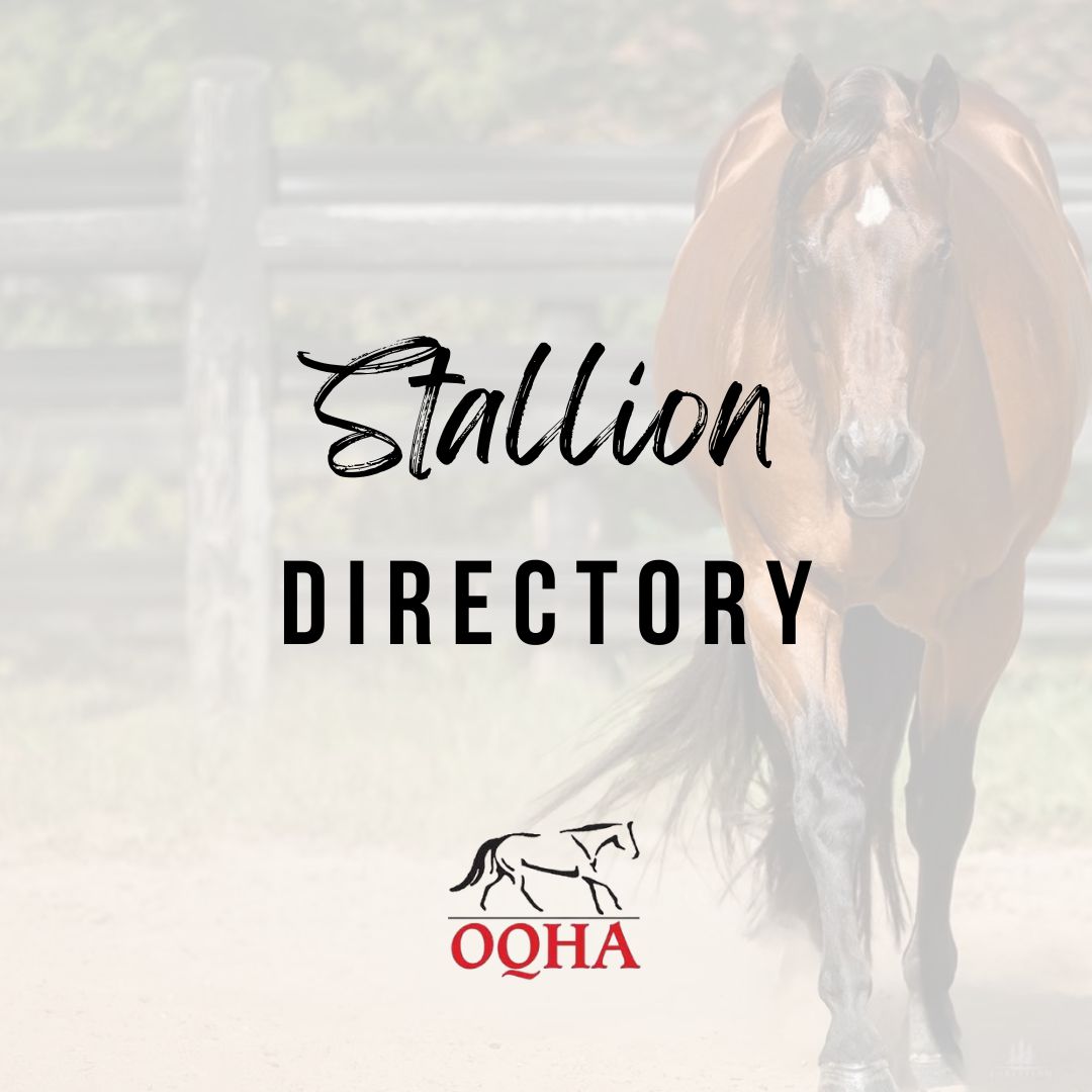 Stallion Collection Services Stallion Directory
