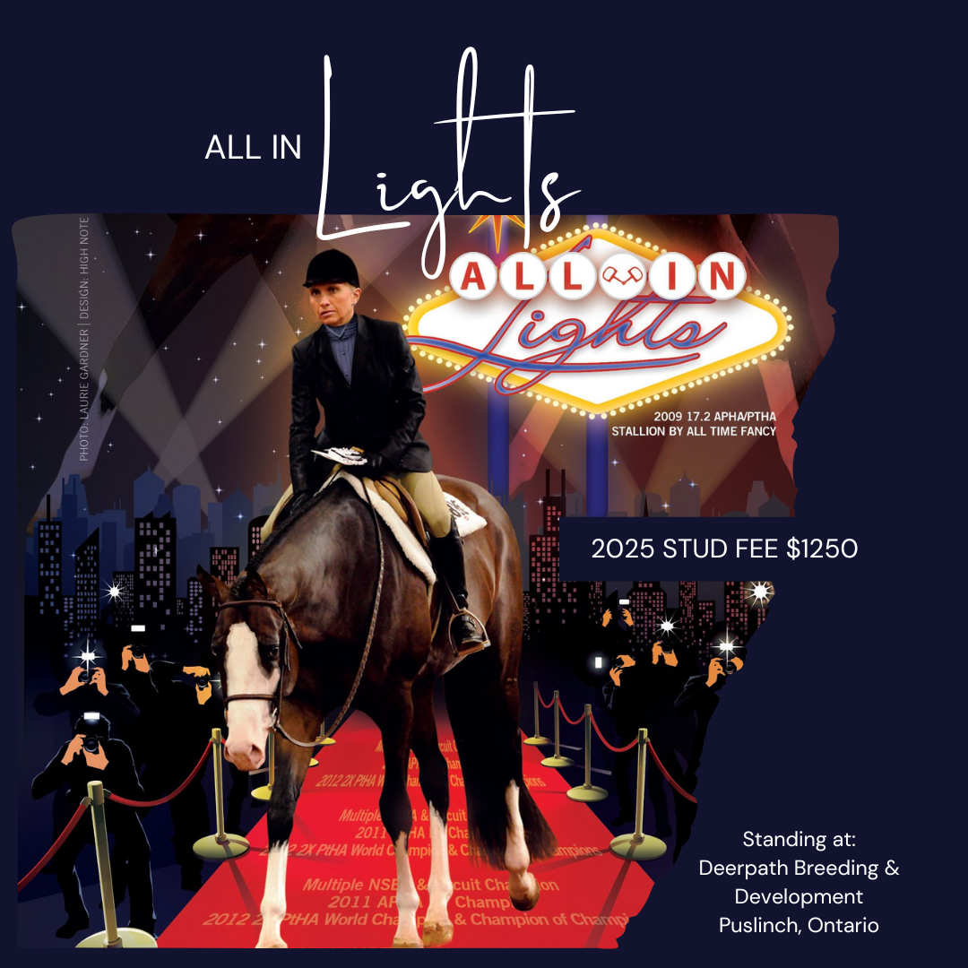 All In Lights